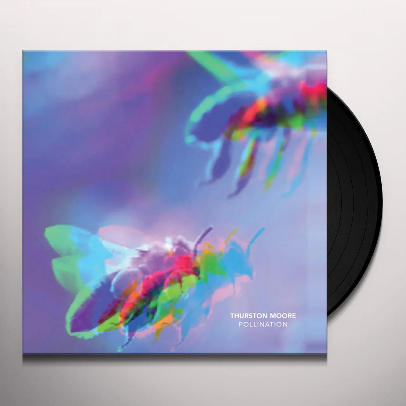 Thurston Moore Pollination / Leave Me Alone Vinyl Record