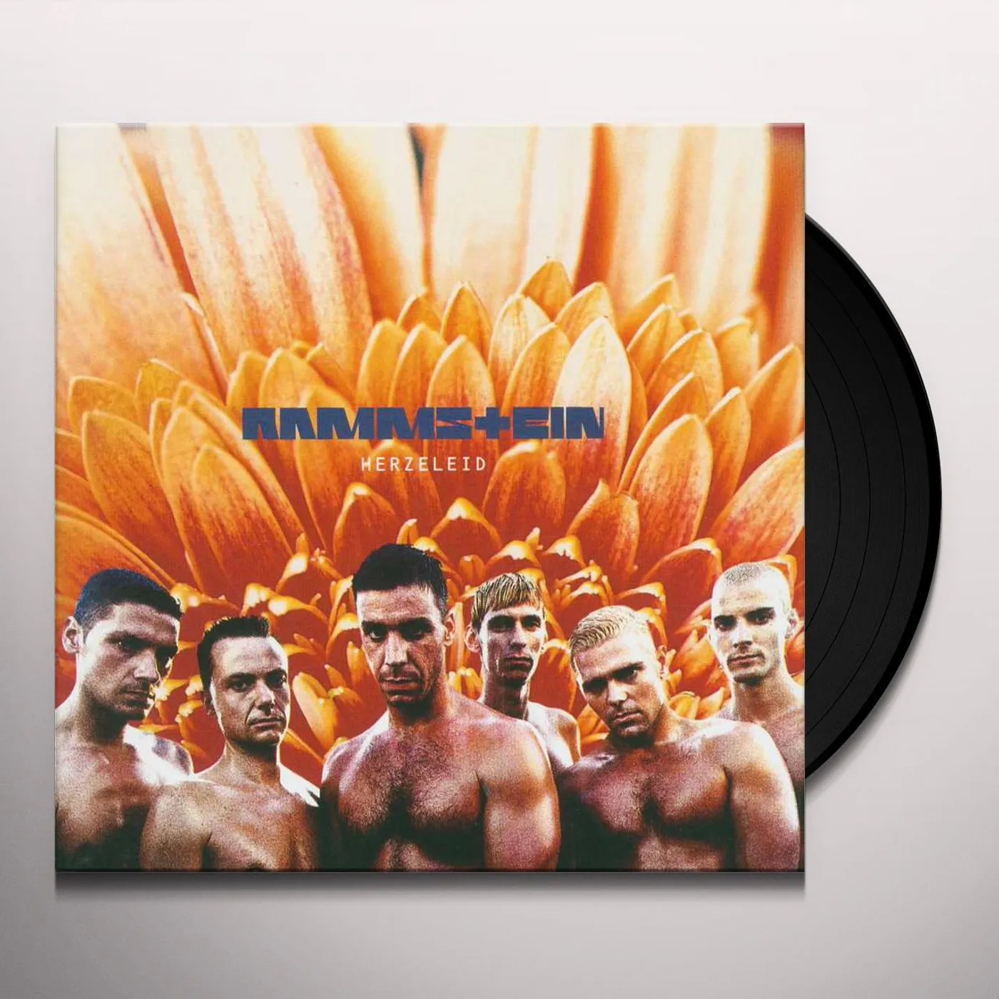Rammstein HERZELEID (LIMITED 2LP) Vinyl Record