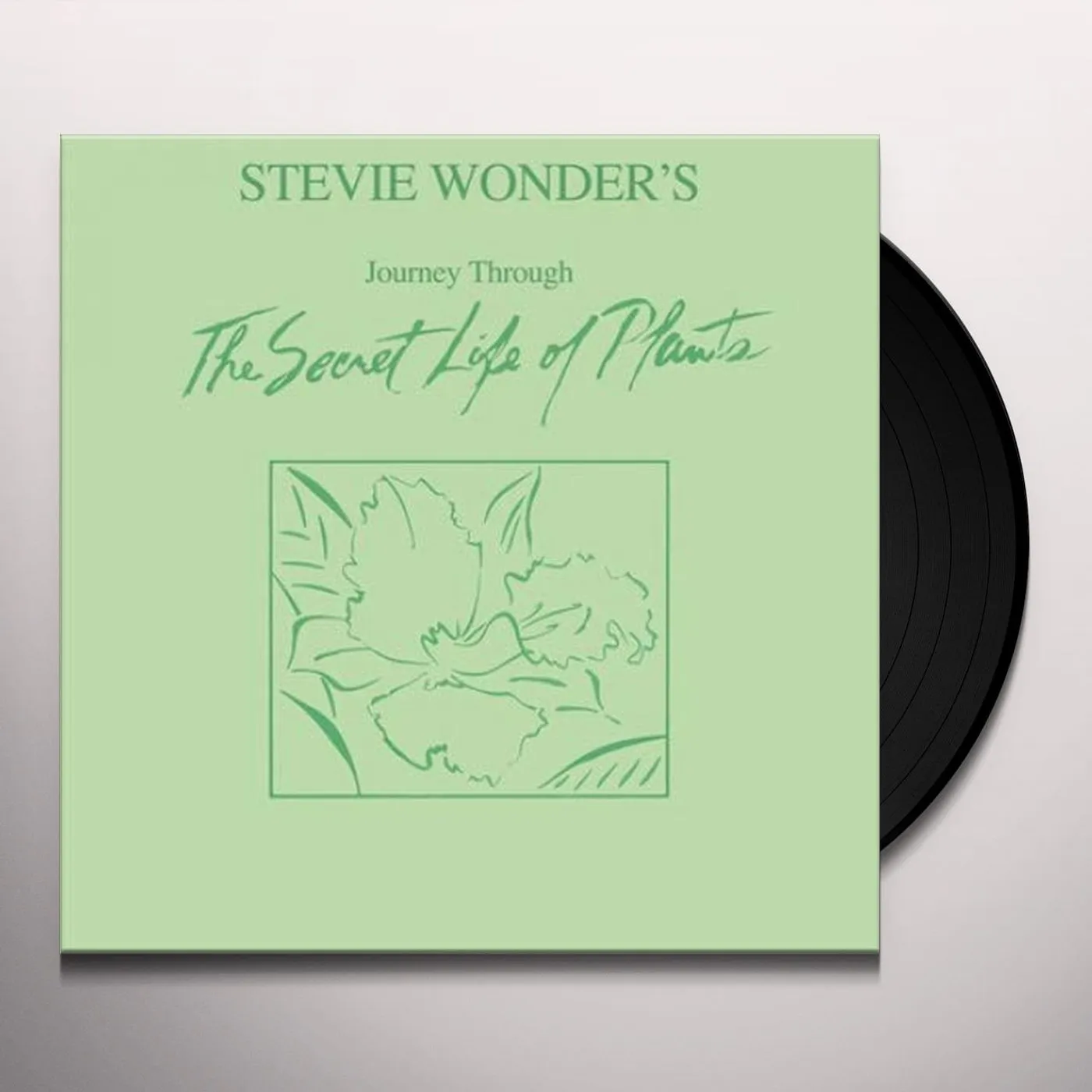 Stevie Wonder JOURNEY THROUGH THE SECRET LIFE OF PLANTS (2LP/180G) Vinyl Record
