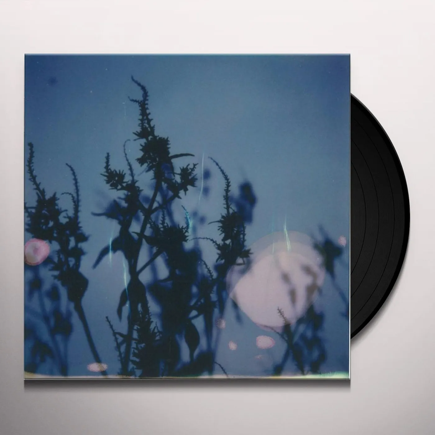 Derek Rogers Immersions Vinyl Record
