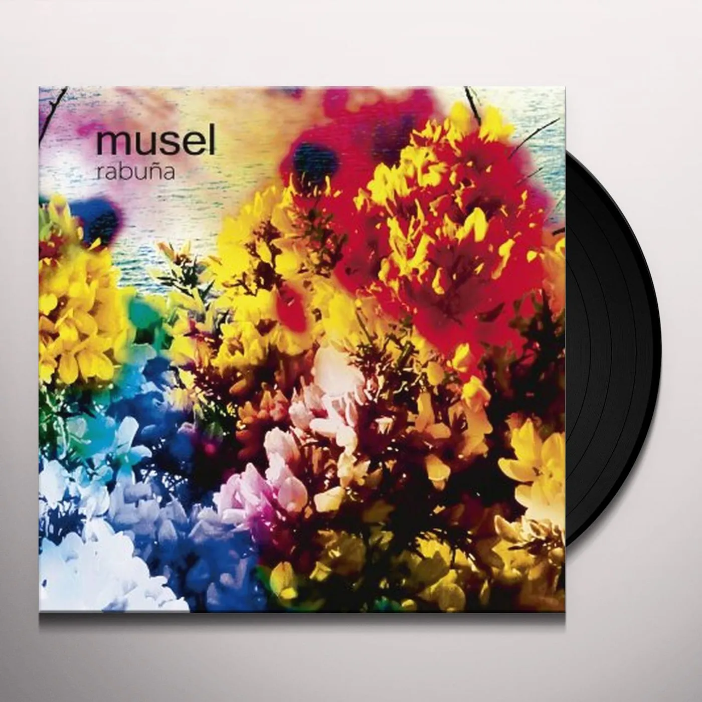 Musel REBUNA Vinyl Record