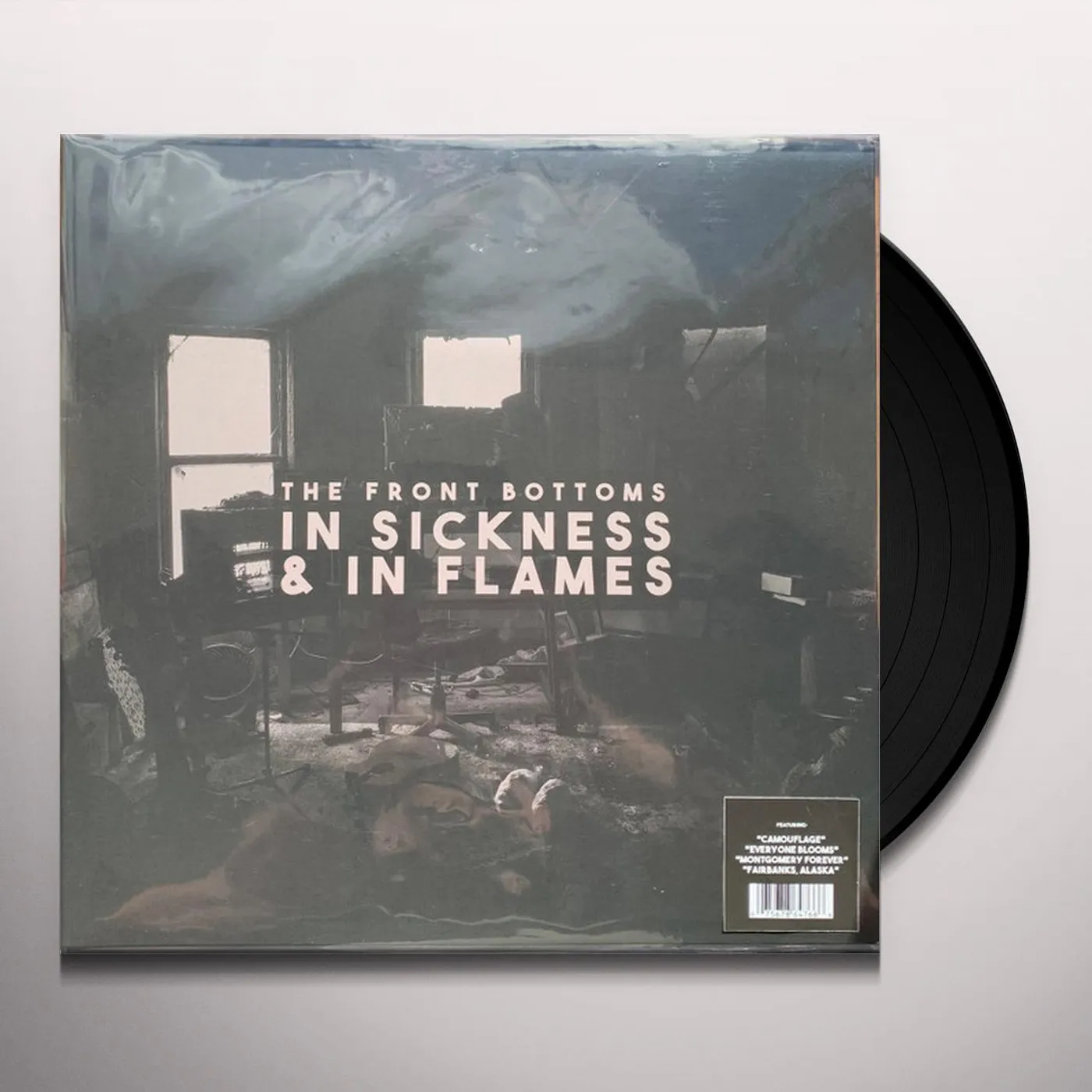 The Front Bottoms In Sickness & In Flames Vinyl Record