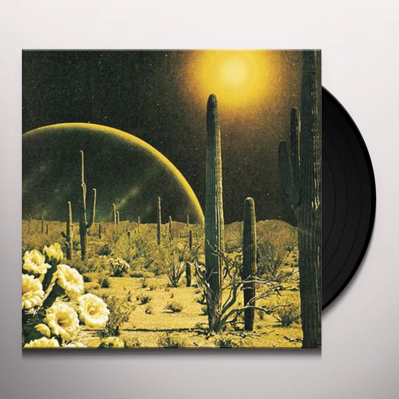 decker. Born to Wake Up Vinyl Record