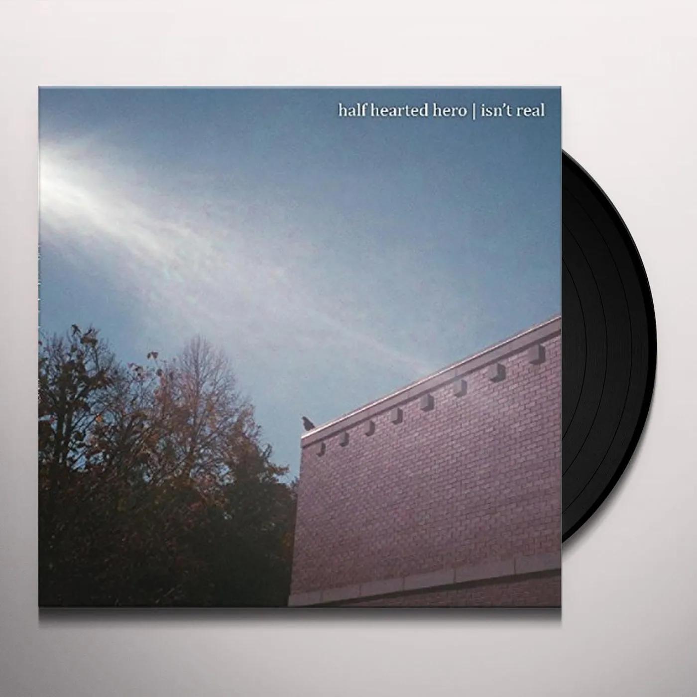 Half Hearted Hero Isn't Real Vinyl Record