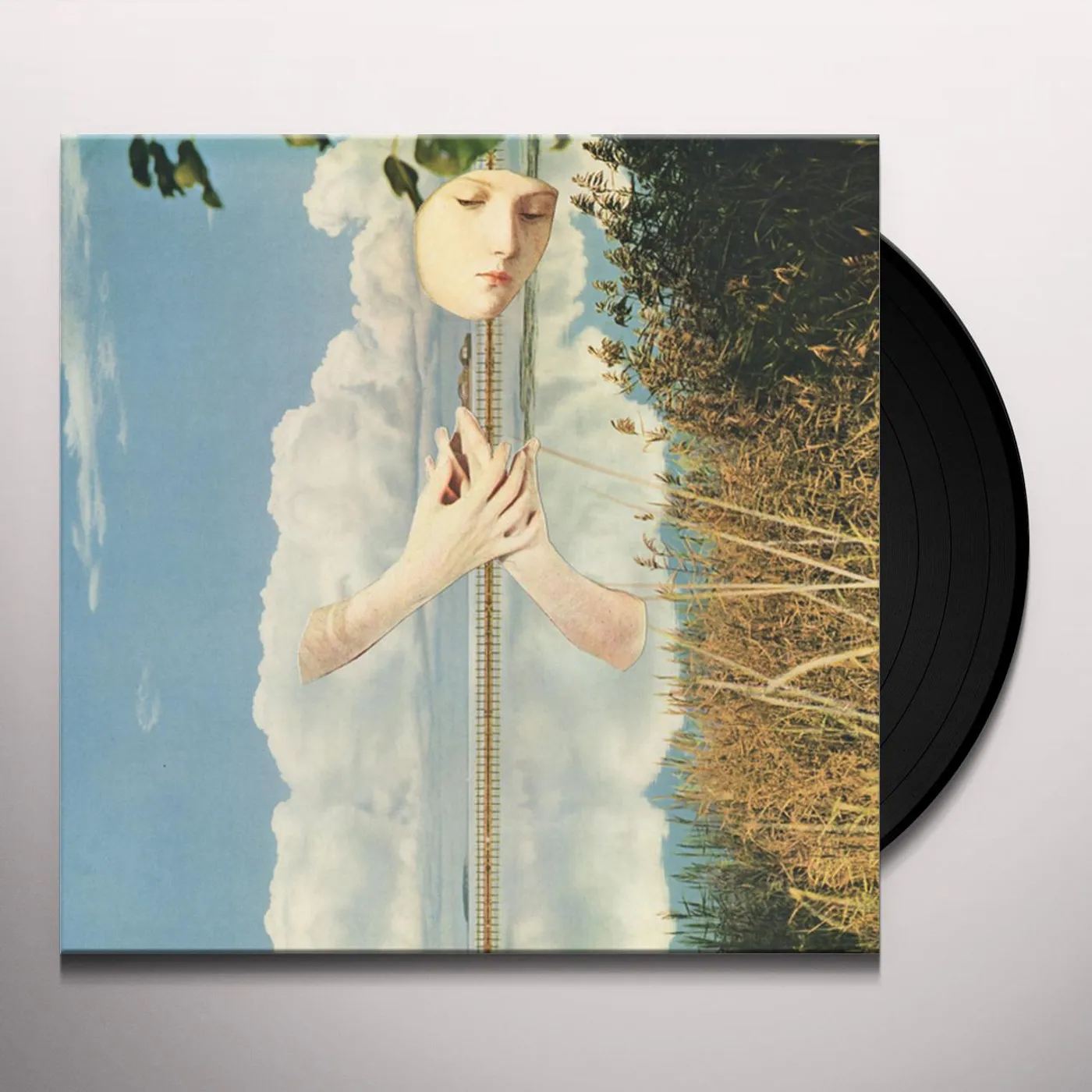 øjeRum WHEN BIRDS FLY - THE EYES OF HEAVEN CAN REST Vinyl Record