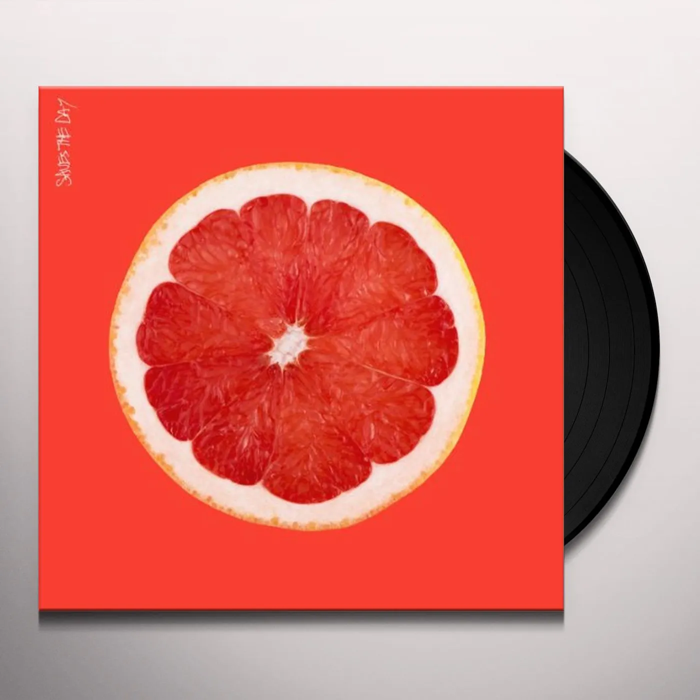Saves the Day Vinyl Record