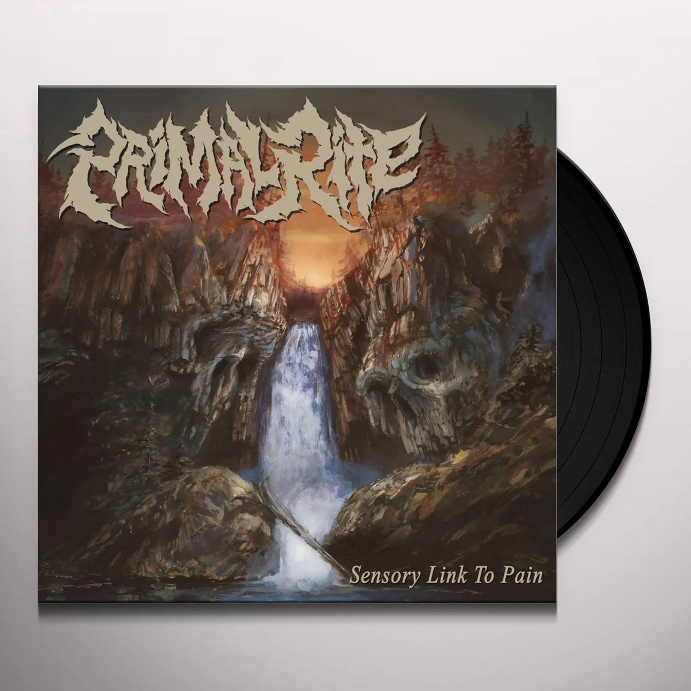 Primal Rite Sensory Link to Pain Vinyl Record
