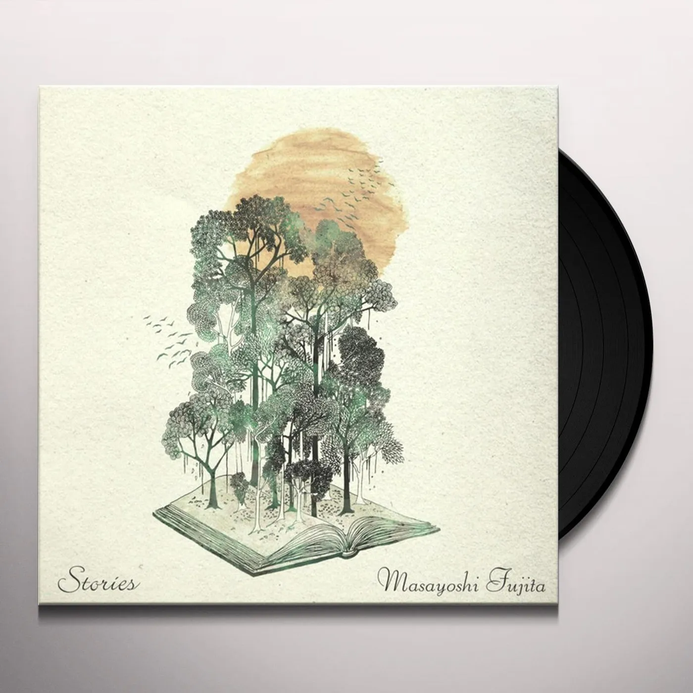 Masayoshi Fujita Stories Vinyl Record
