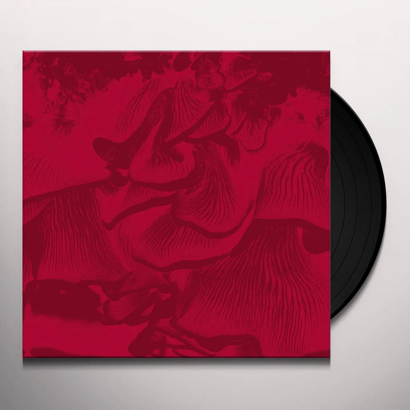 Maurizio Abate LIVE AT ELASTICO Vinyl Record