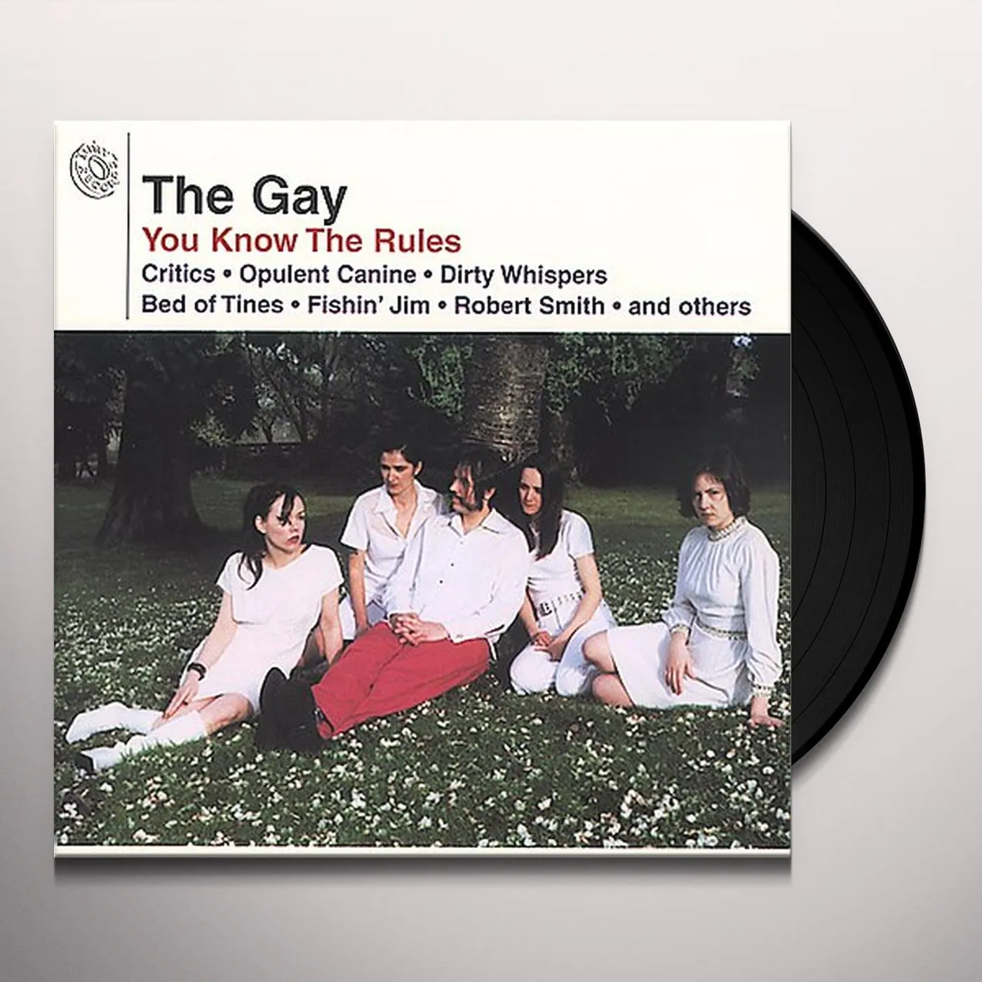 Gay You know the Rules Vinyl Record