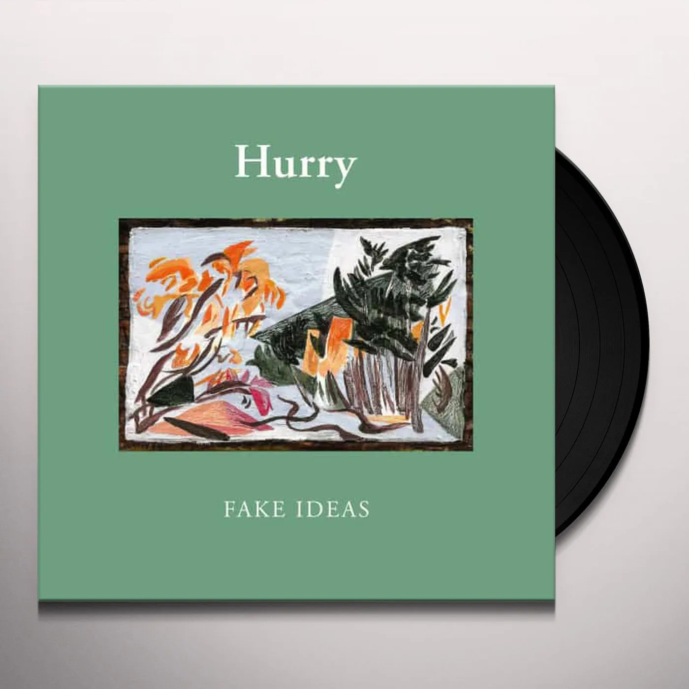 Hurry Fake Ideas Vinyl Record