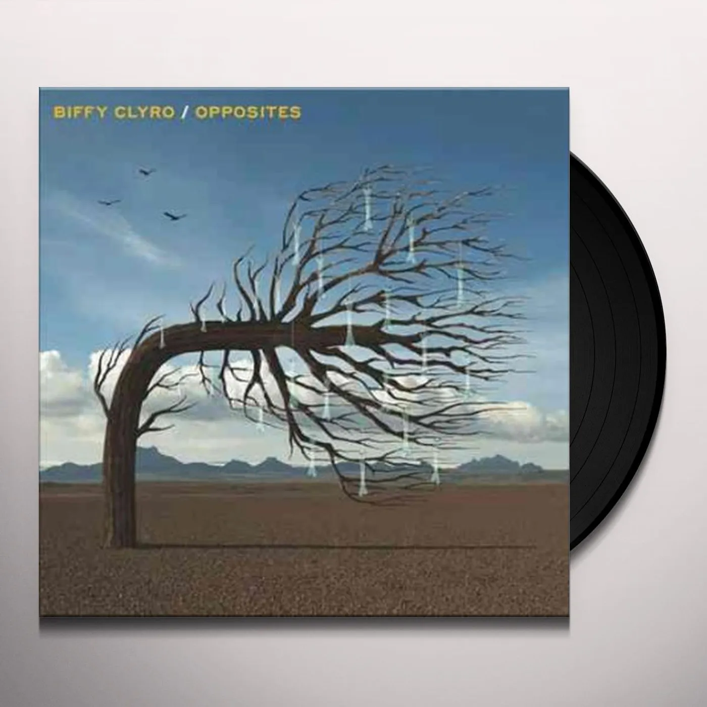 Biffy Clyro Opposites Vinyl Record