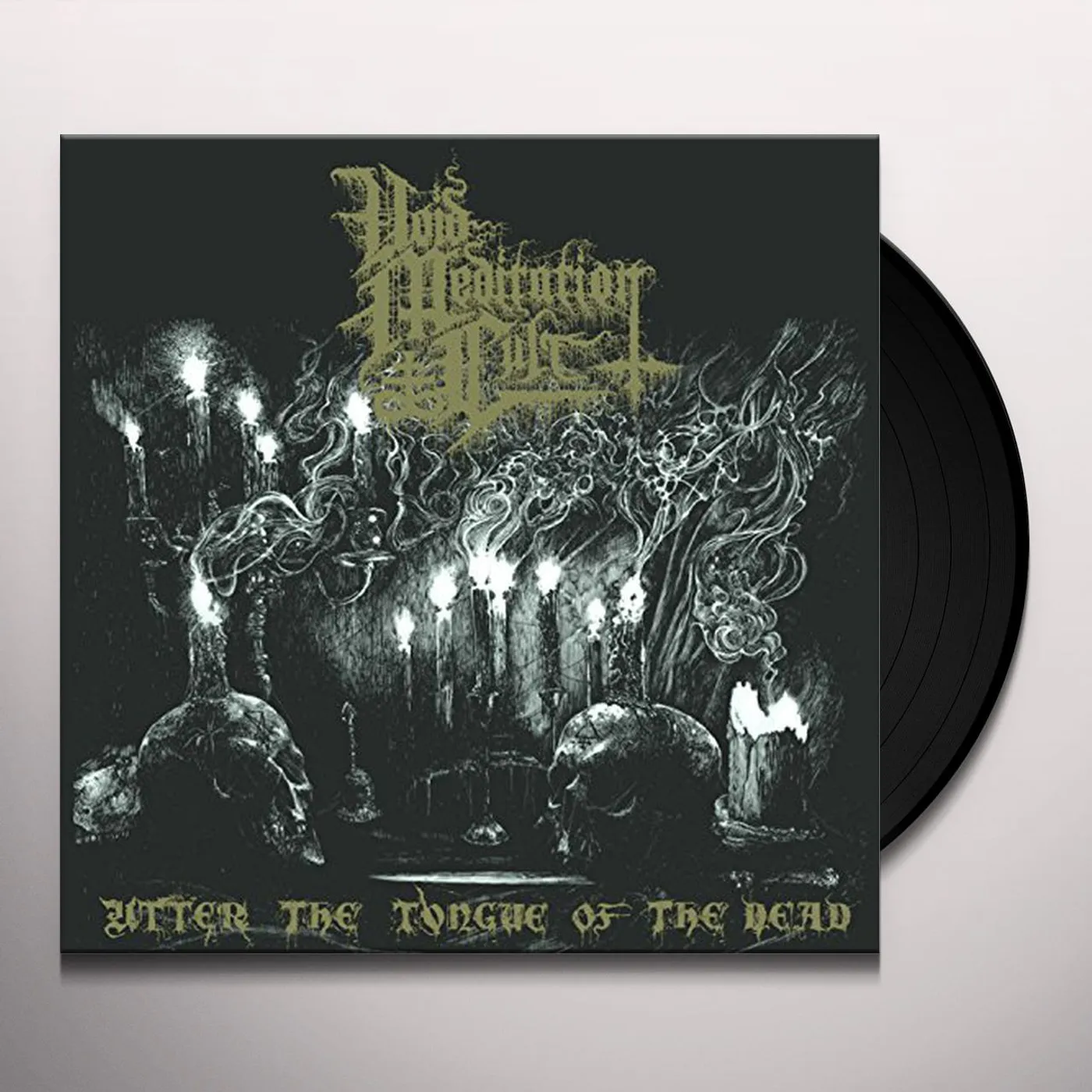 DEMONCY - Within the Sylvan Realms of〜 Demoncy – Within The Sylvan Realms Of Frost – Vinyl (LP