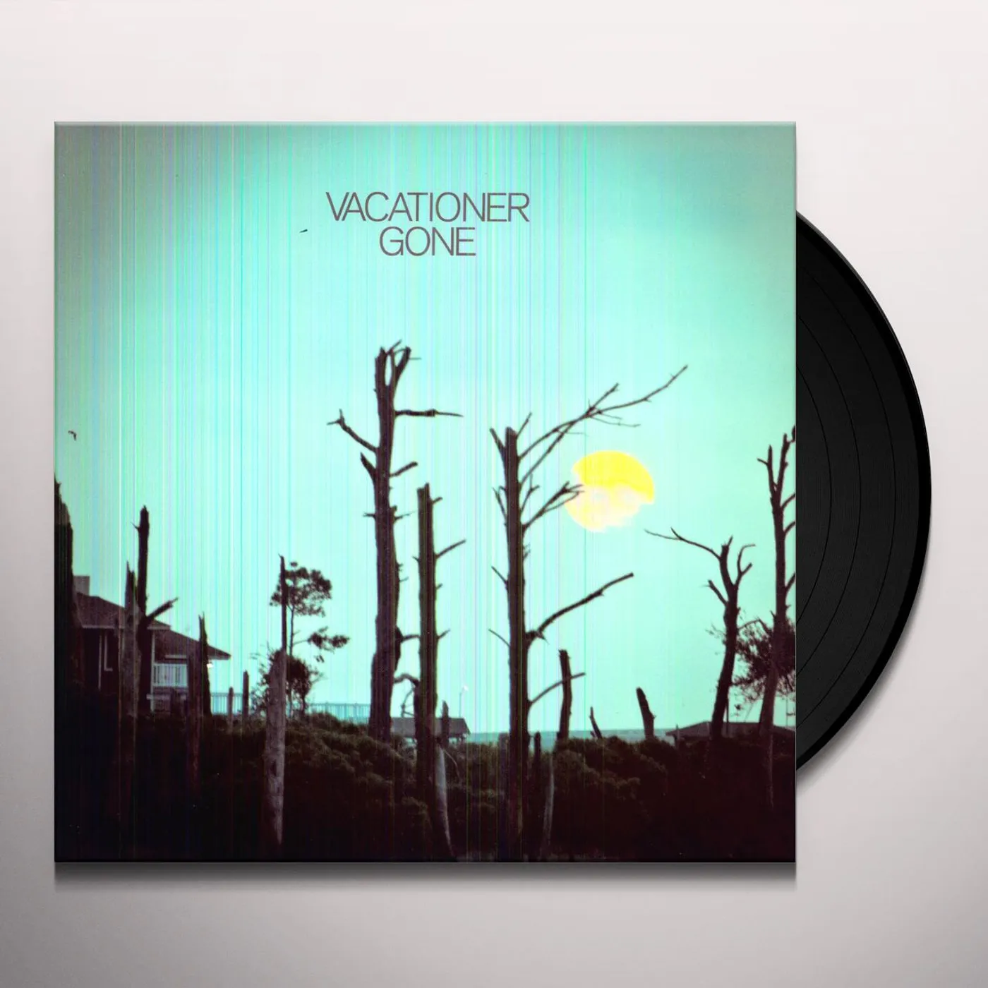 Vacationer Gone Vinyl Record