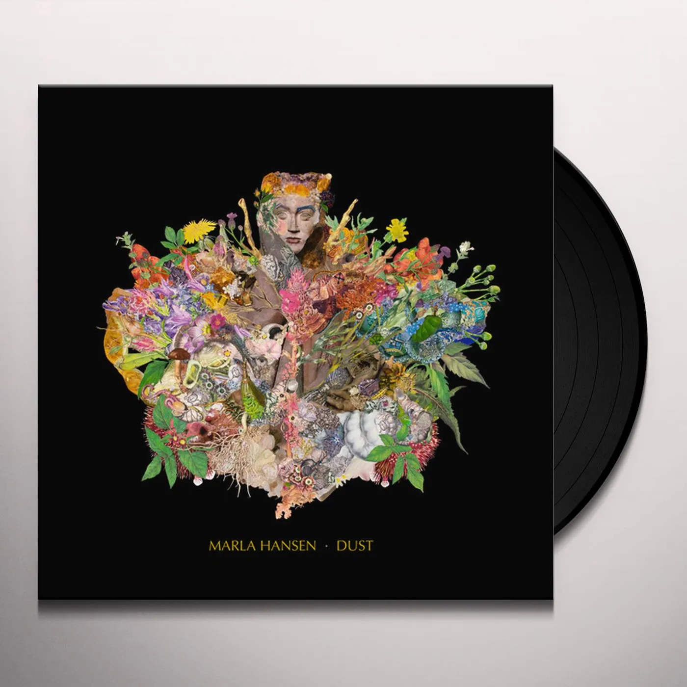 Marla Hansen Dust Vinyl Record