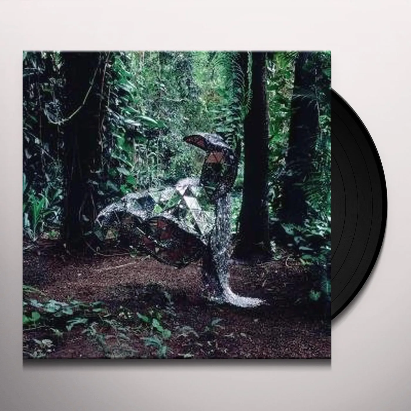 CSS Donkey Vinyl Record