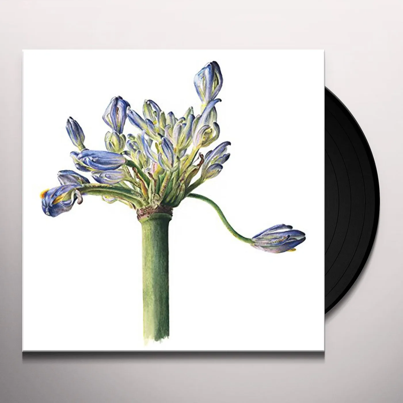 Secret Goldfish PETAL SPLIT Vinyl Record