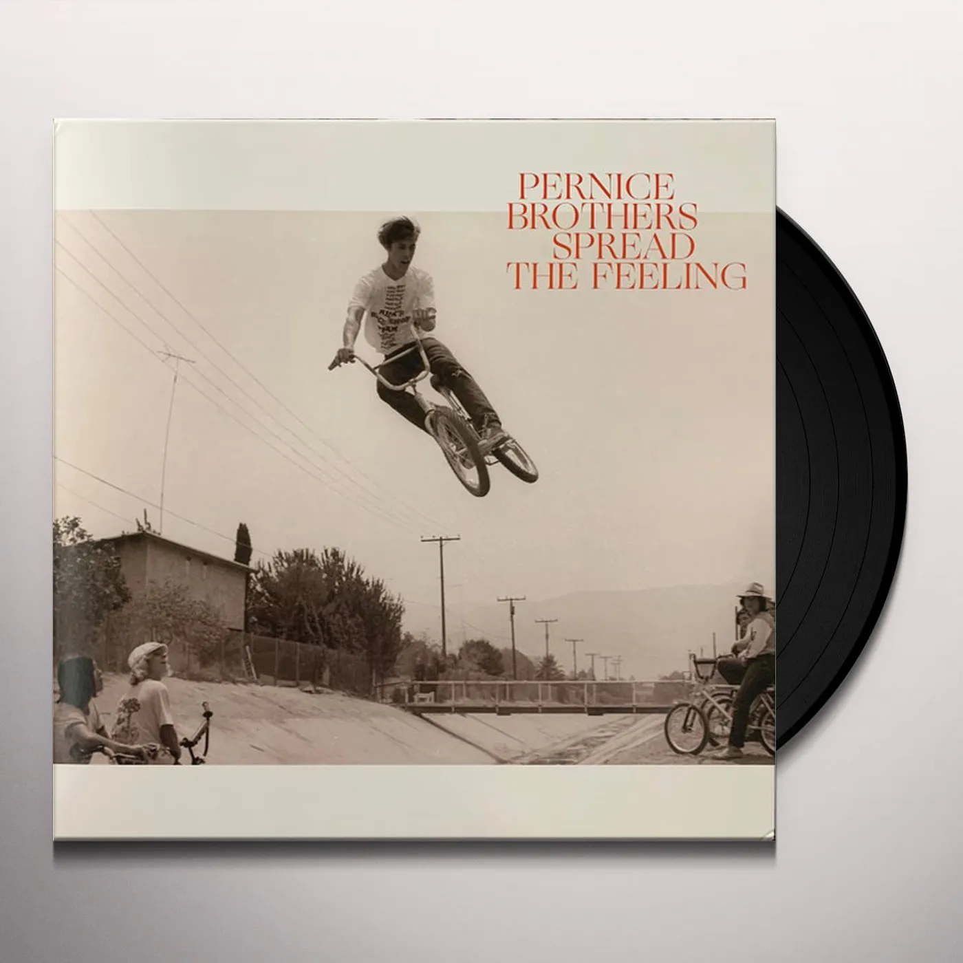 Pernice Brothers Spread The Feeling Vinyl Record