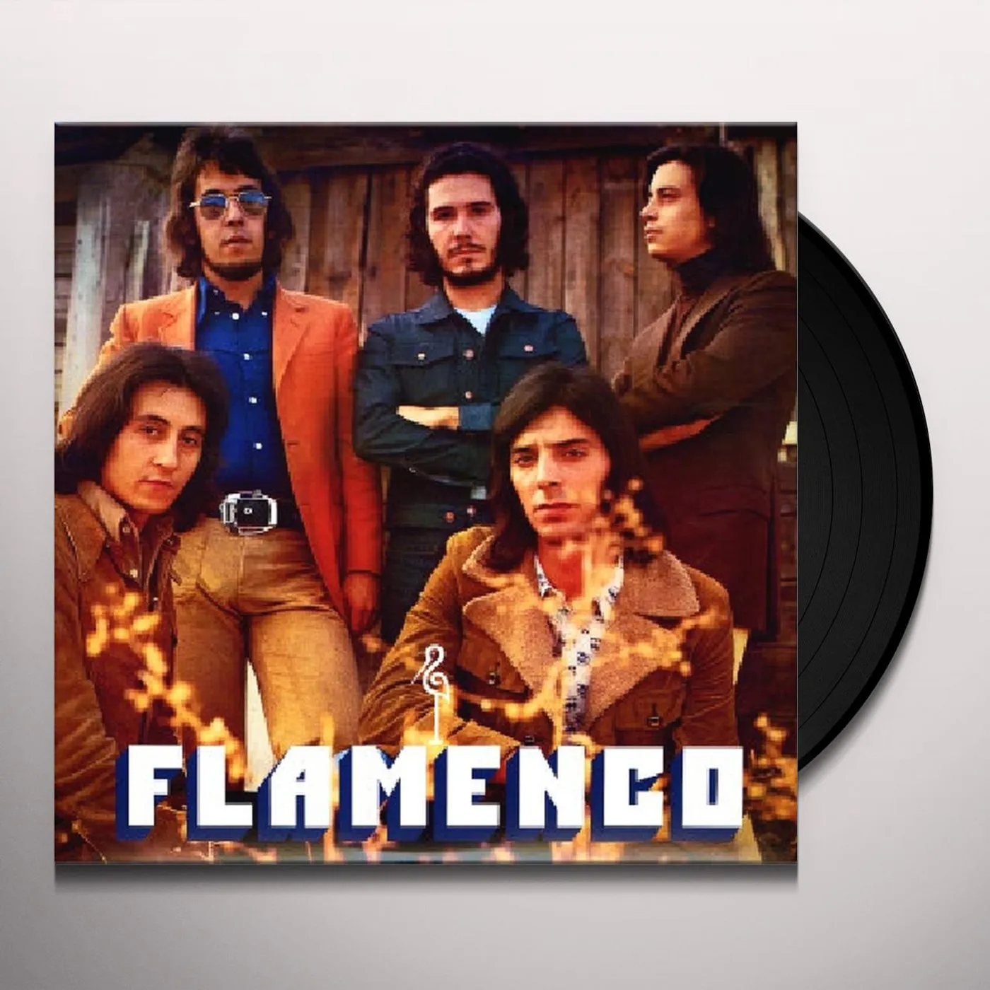 Flamenco Vinyl Record