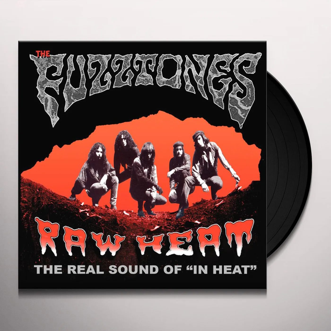 The Fuzztones RAW HEAT: THE REAL SOUND OF IN HEAT Vinyl Record
