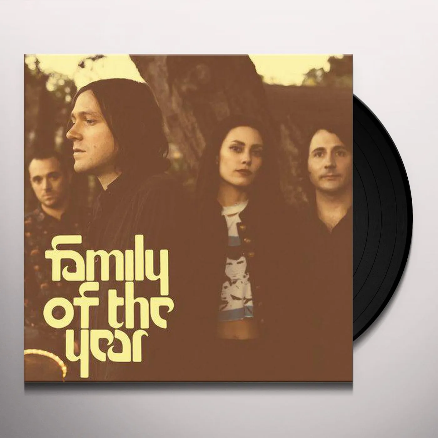 Family Of The Year Vinyl Record