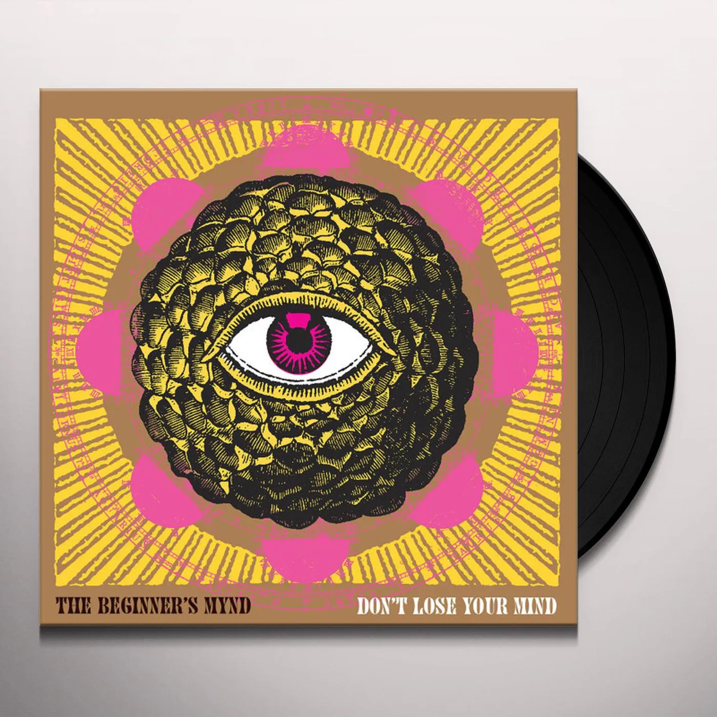 The Beginner's Mynd DON'T LOSE YOUR MIND Vinyl Record