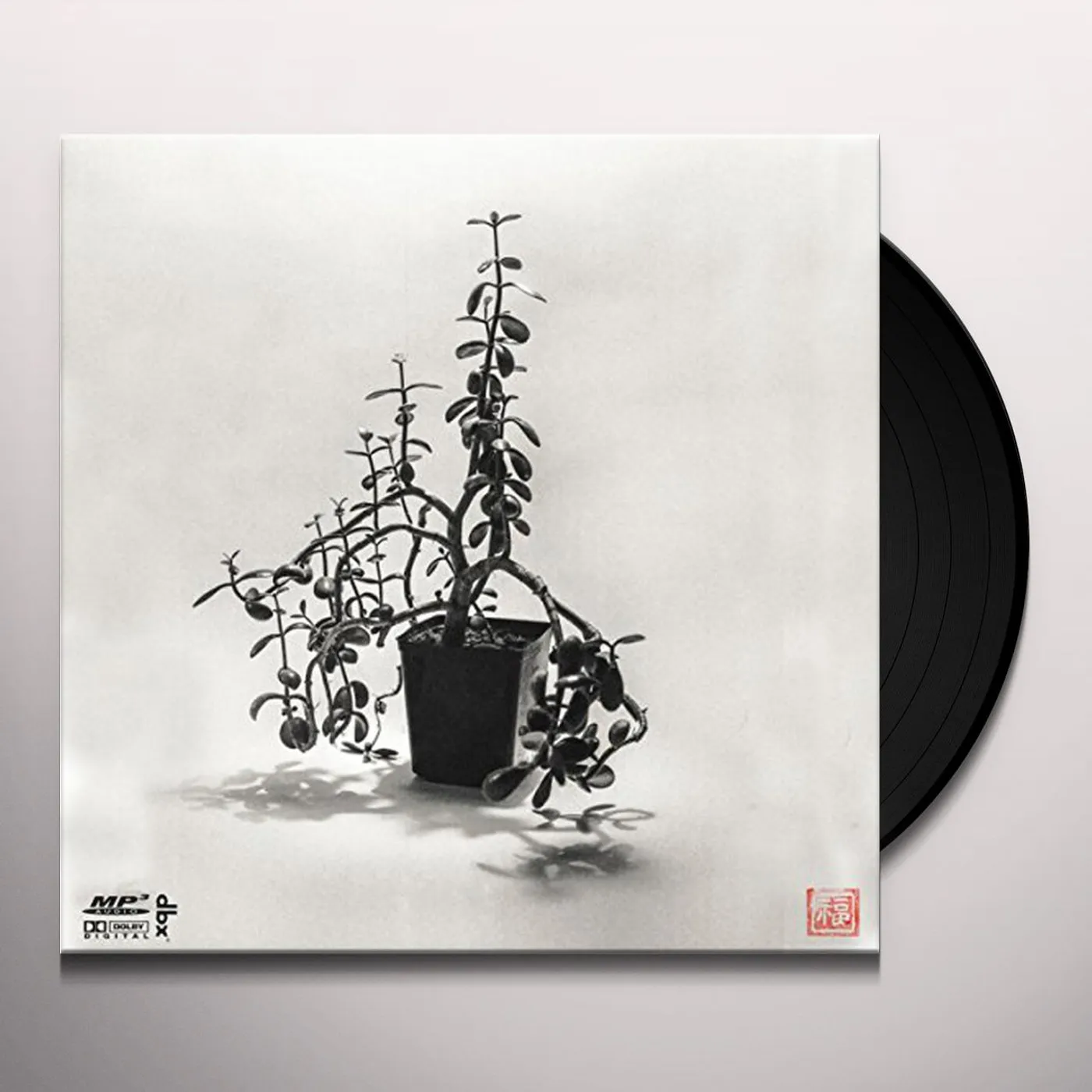 You're Me Plant Cell Division Vinyl Record
