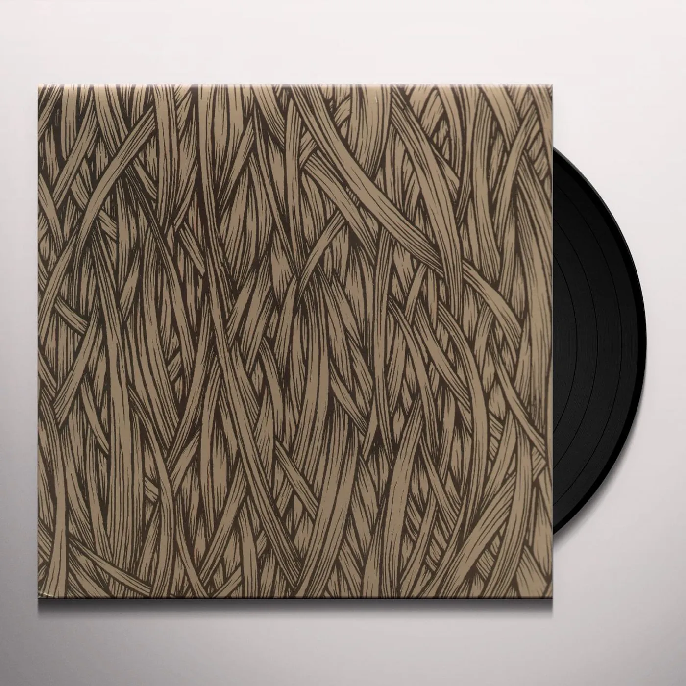 ISIS In The Absence Of Truth Vinyl Record