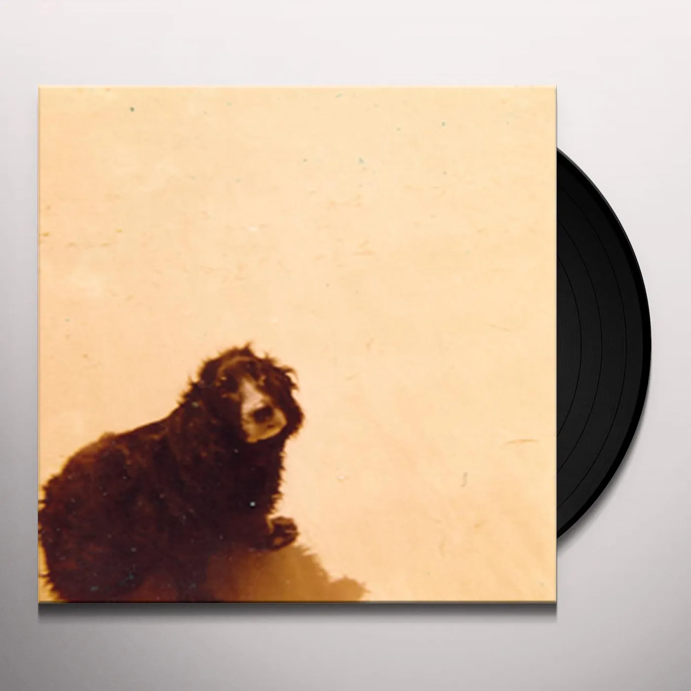 Pumice PUDDLES Vinyl Record