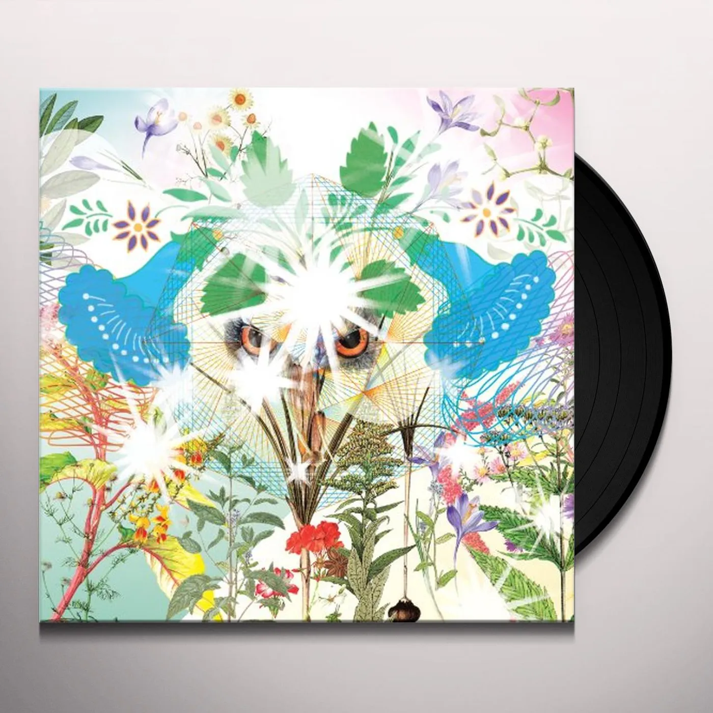 OOIOO Gamel Vinyl Record