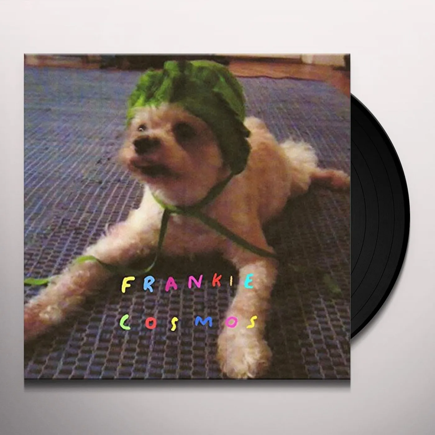 Frankie Cosmos Zentropy Vinyl Record