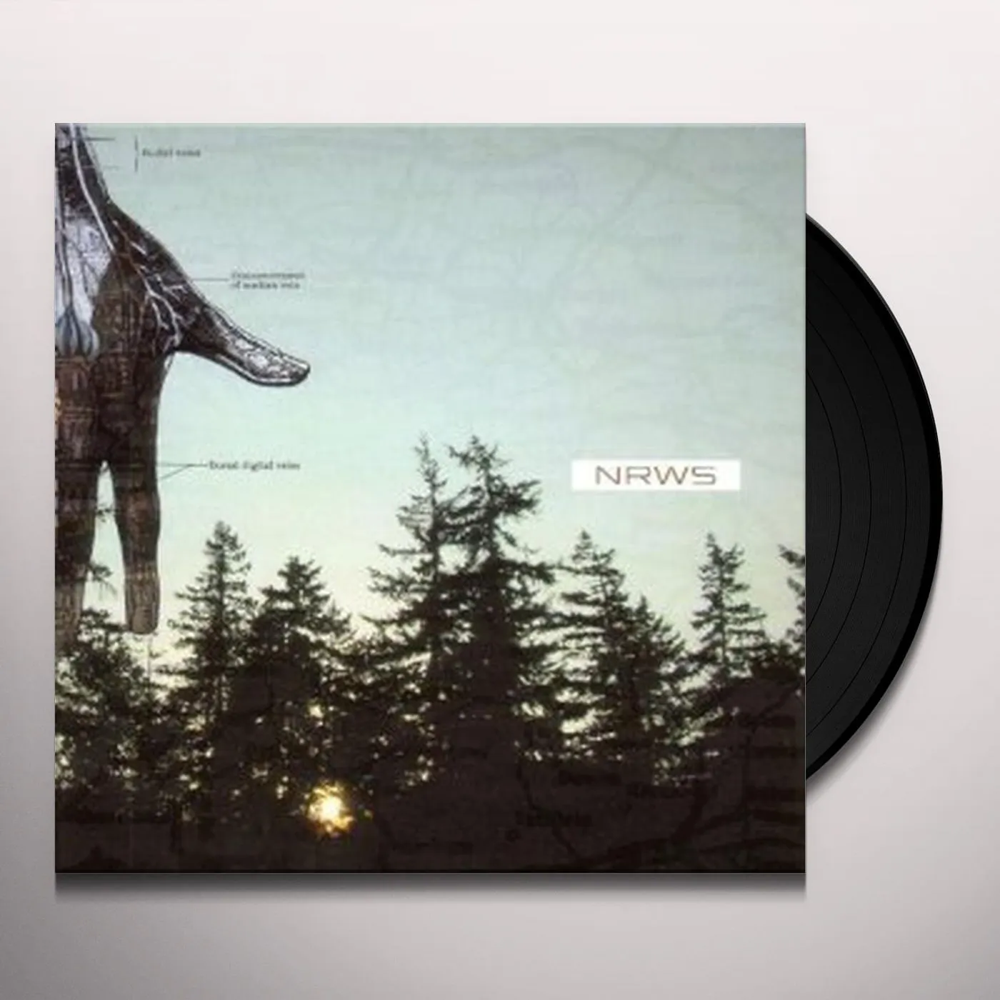 Narrows New Distances Vinyl Record