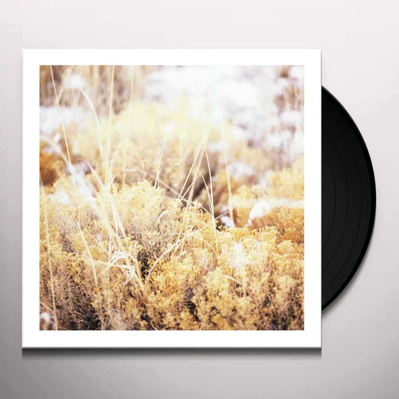 Mamiffer BRILLIANT TABERNACLE Vinyl Record