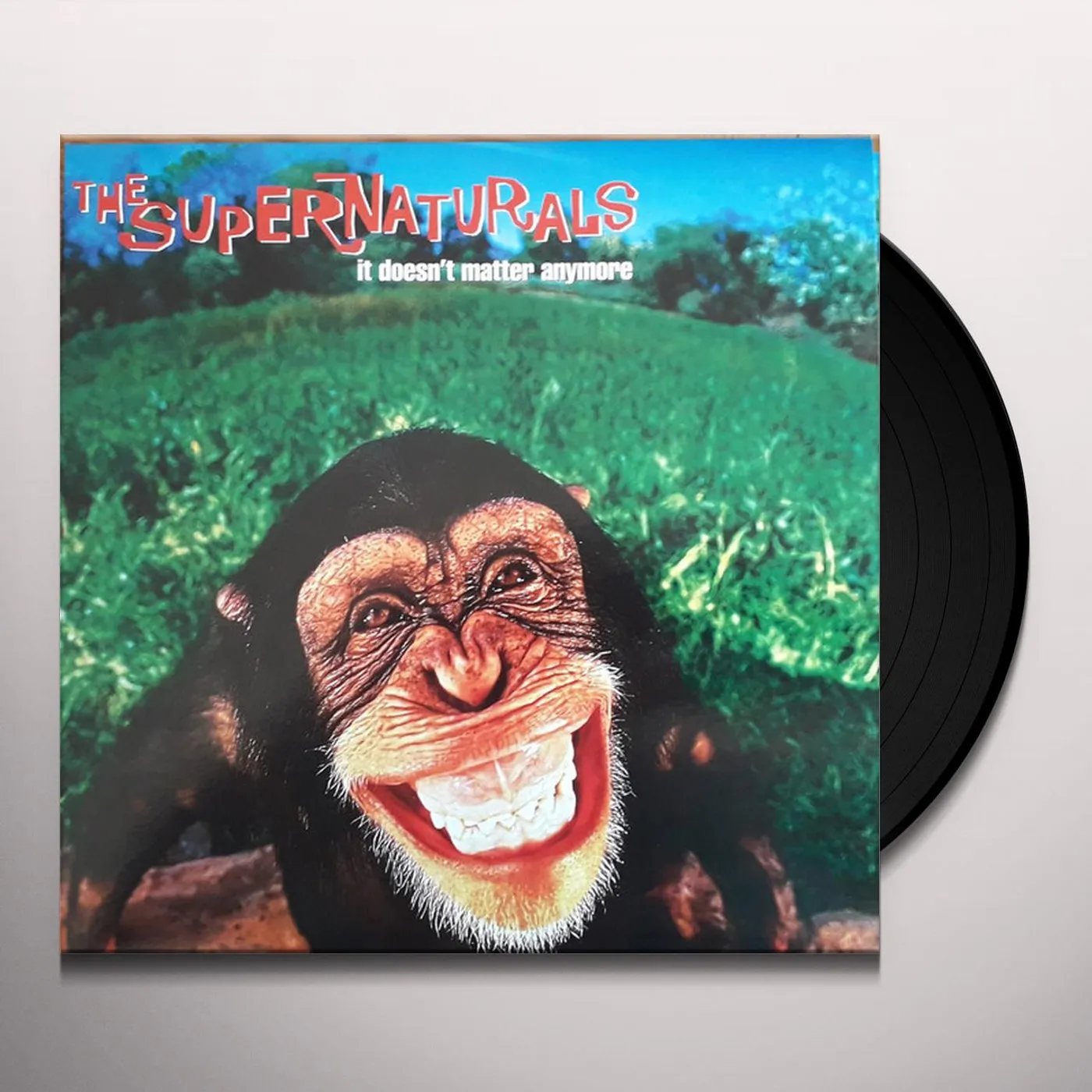 The Supernaturals IT DOESN'T MATTER ANYMORE Vinyl Record