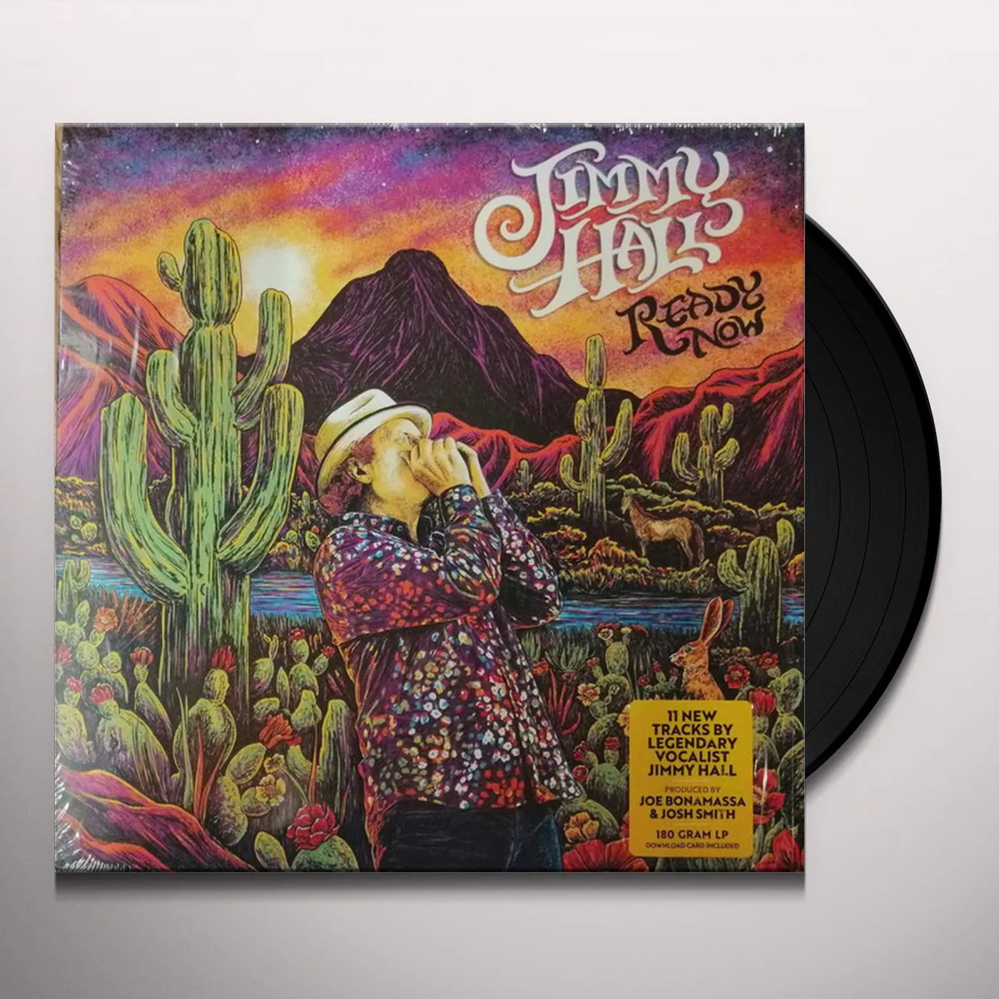 Jimmy Hall READY NOW Vinyl Record