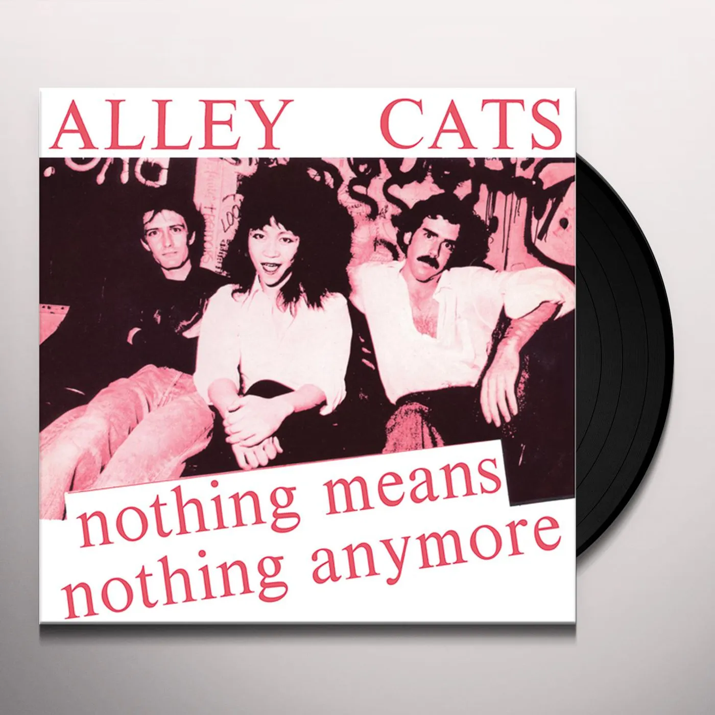 The Alley Cats NOTHING MEANS NOTHING ANYMORE / GIMME A LITTLE Vinyl Record