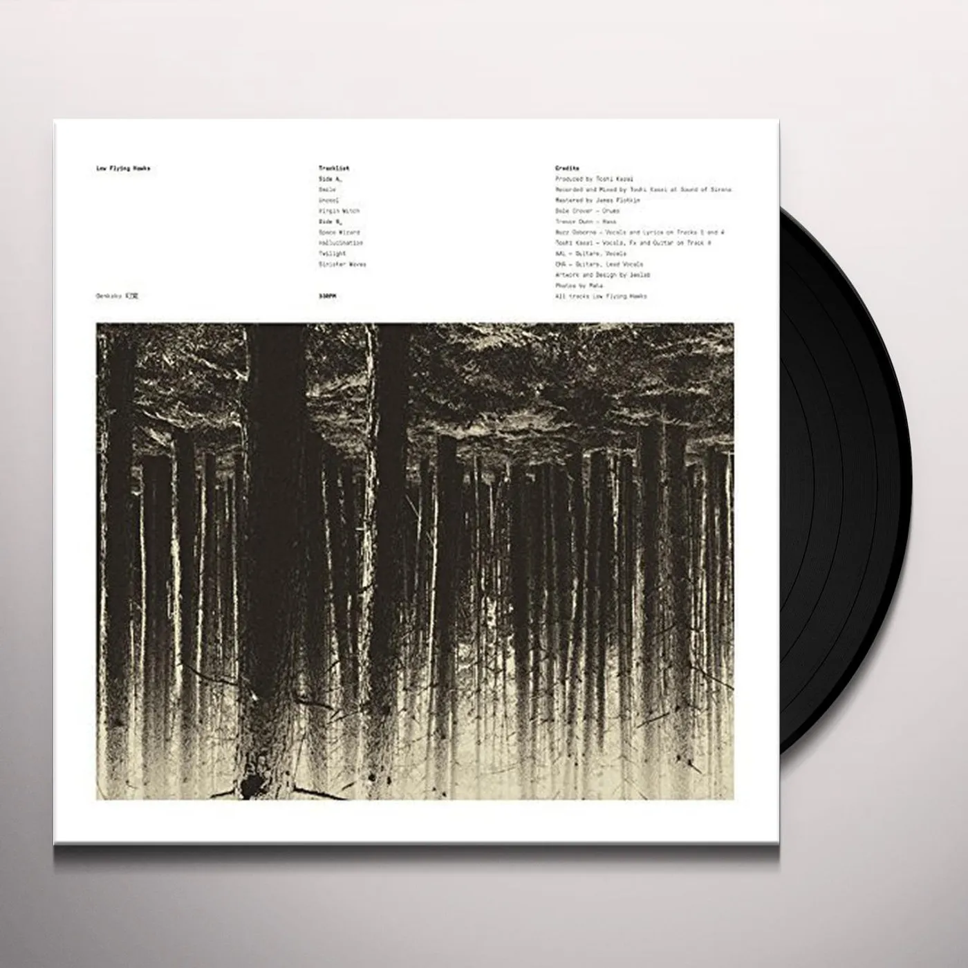 Low Flying Hawks Genkaku Vinyl Record