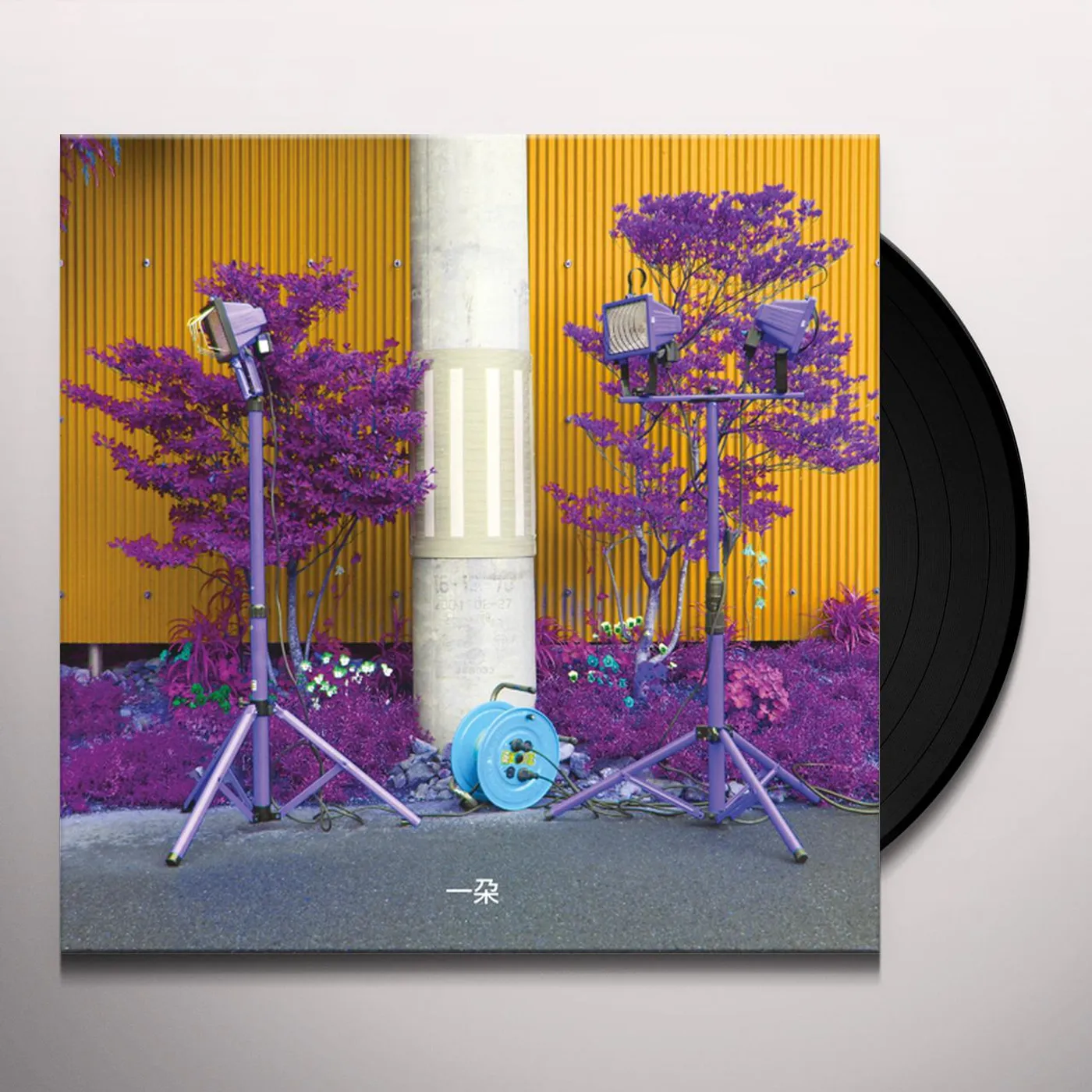 Eiko Ishibashi, Darin Gray ICHIDA Vinyl Record