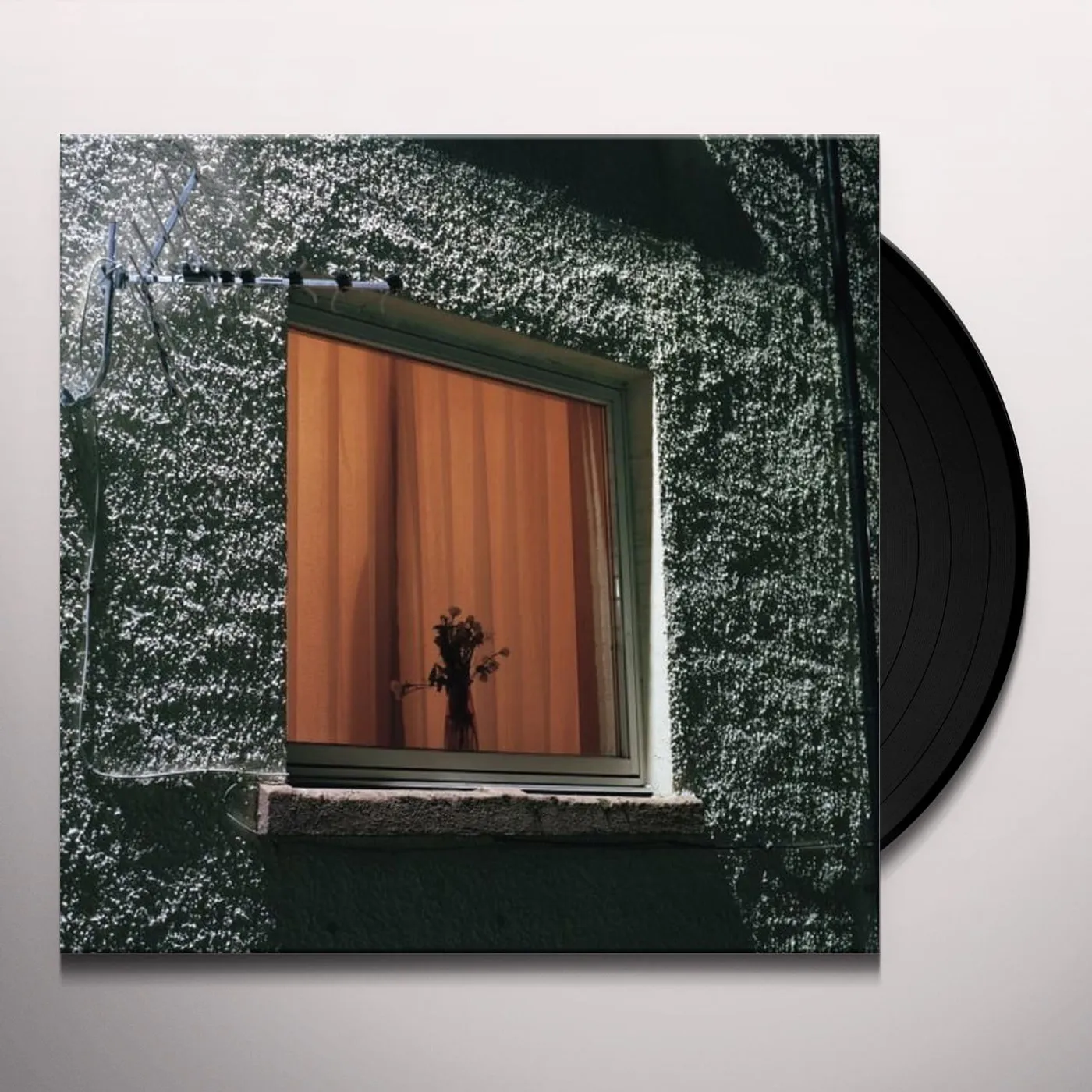 Wyldest Monthly Friend Vinyl Record