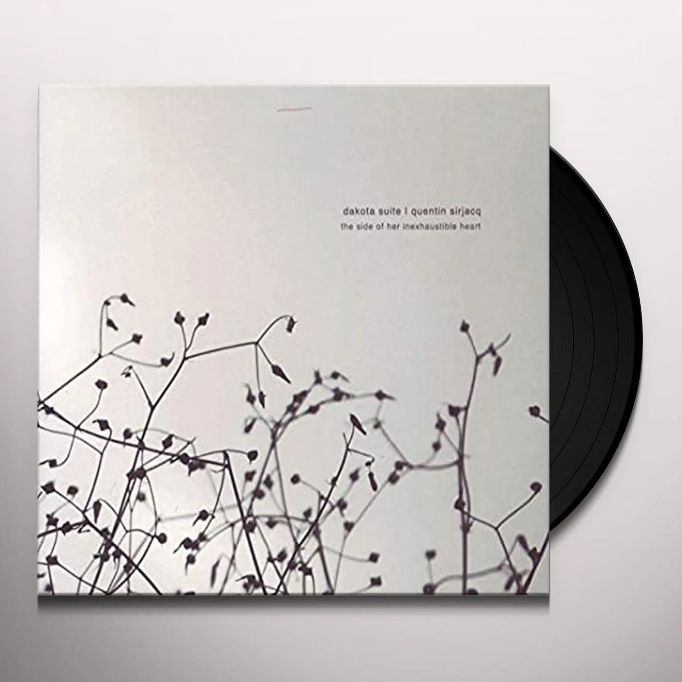Dakota Suite & Quentin Sirjacq SIDE OF HER INEXHAUSTIBLE HEART Vinyl Record