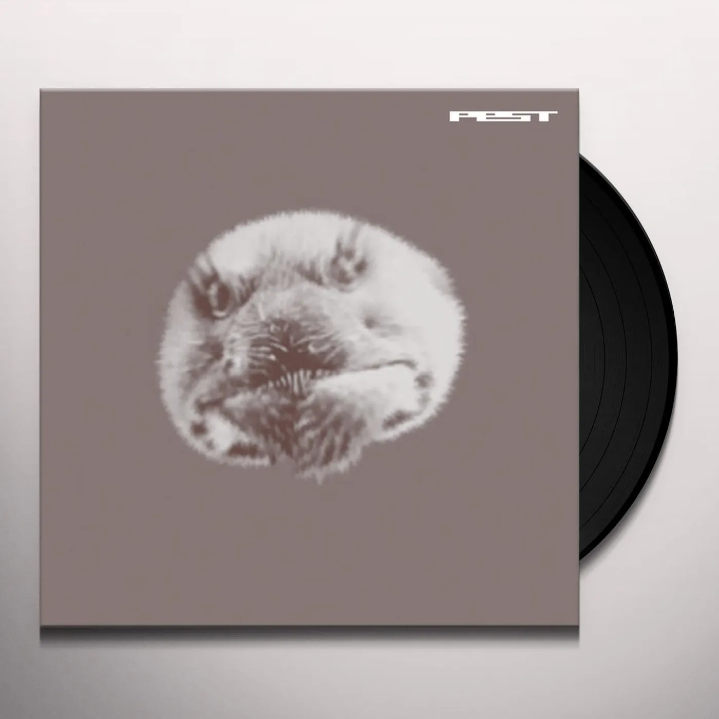 Pest Jefferson Shuffle Vinyl Record