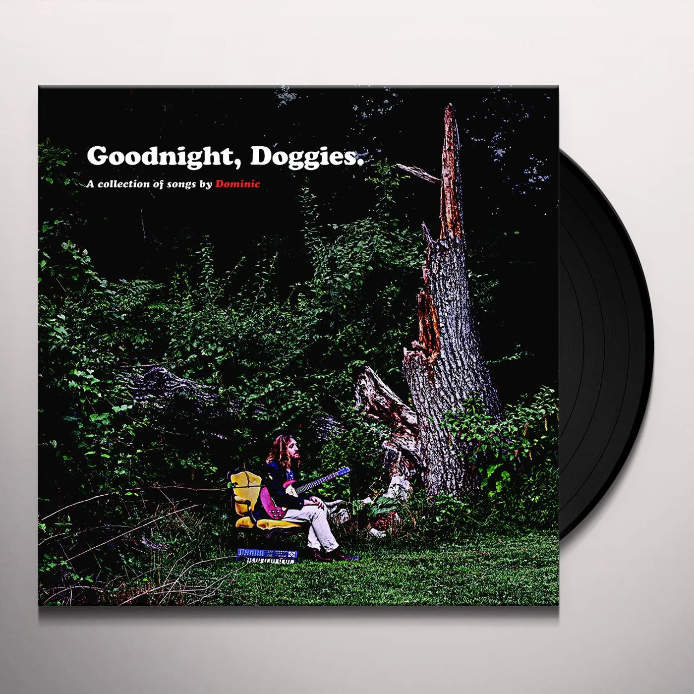 Dominic Angelella GOODNIGHT DOGGIES Vinyl Record