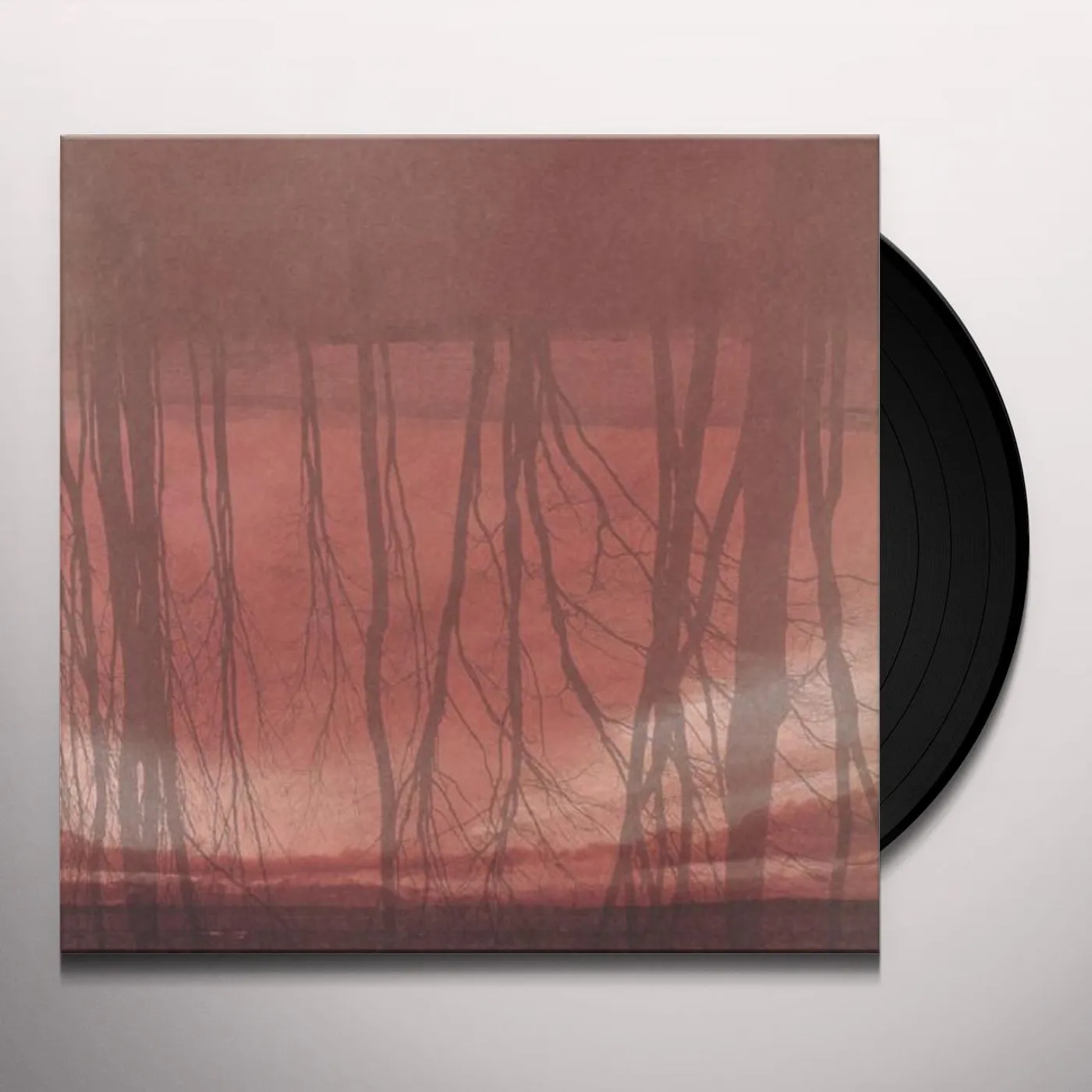 Former Thieves LANGUAGE THAT WE SPEAK Vinyl Record