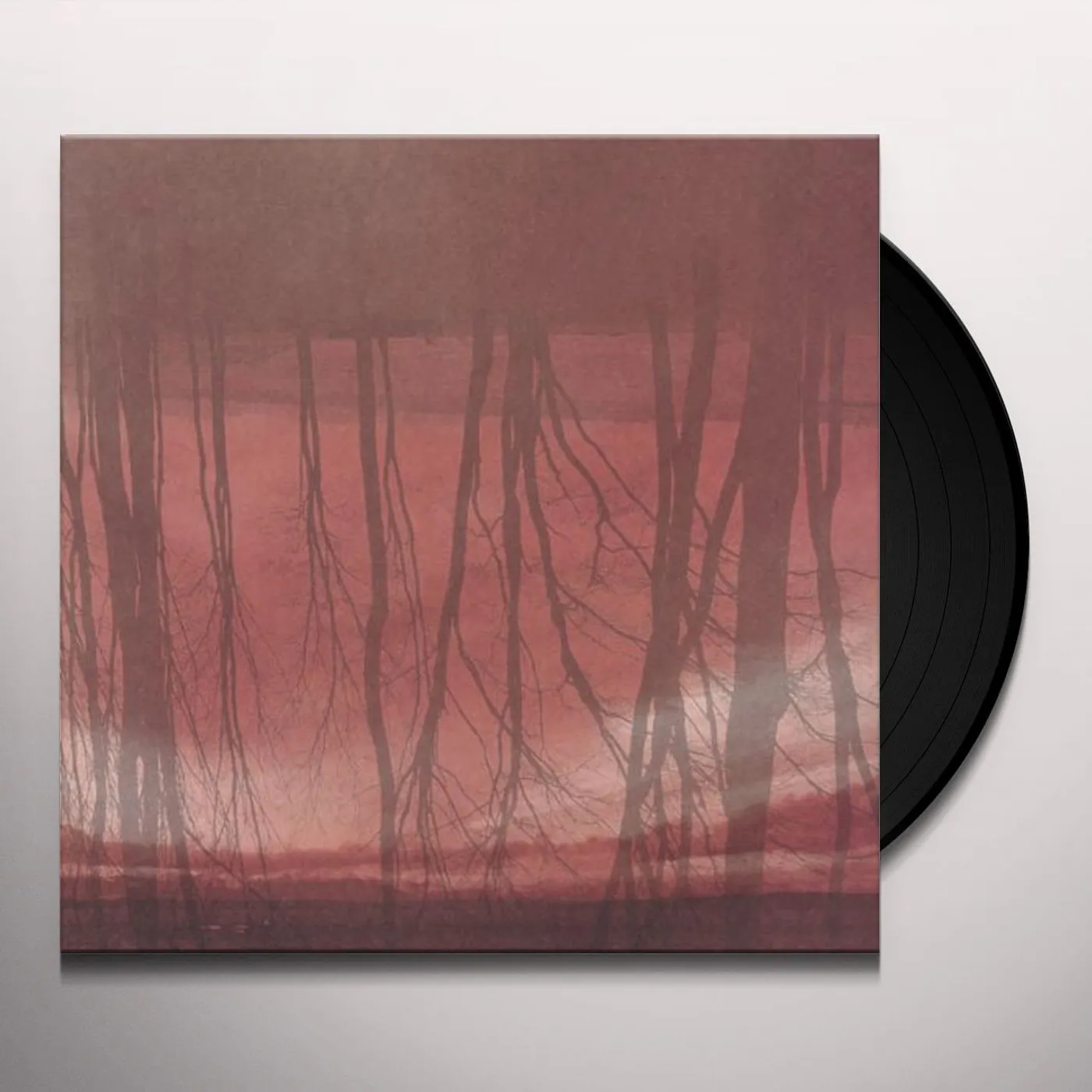 Former Thieves LANGUAGE THAT WE SPEAK Vinyl Record