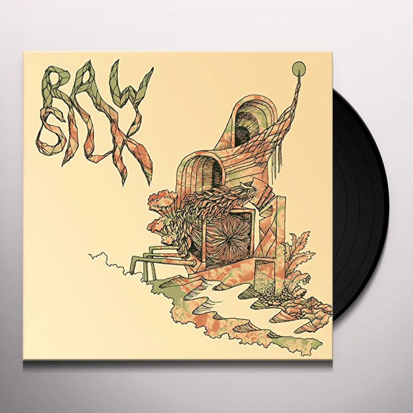RAW SILK Vinyl Record