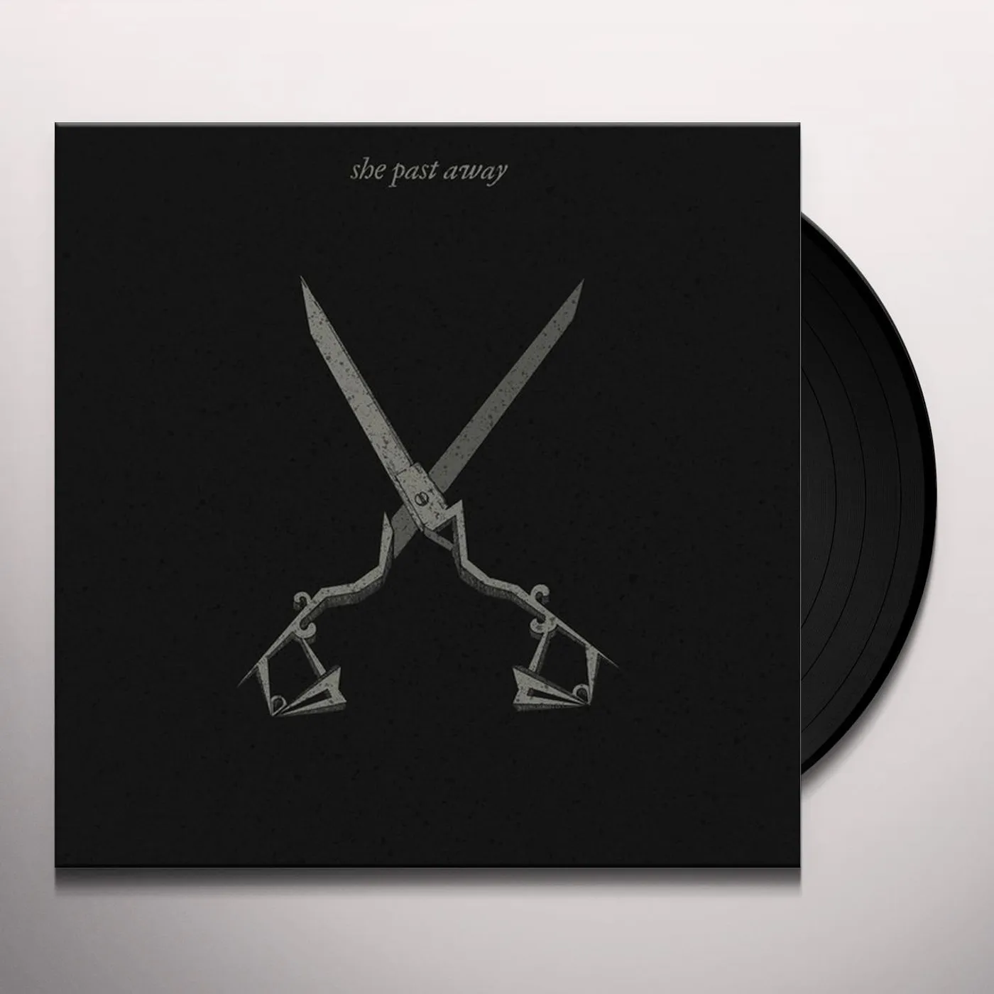 She Past Away X. Vinyl Record