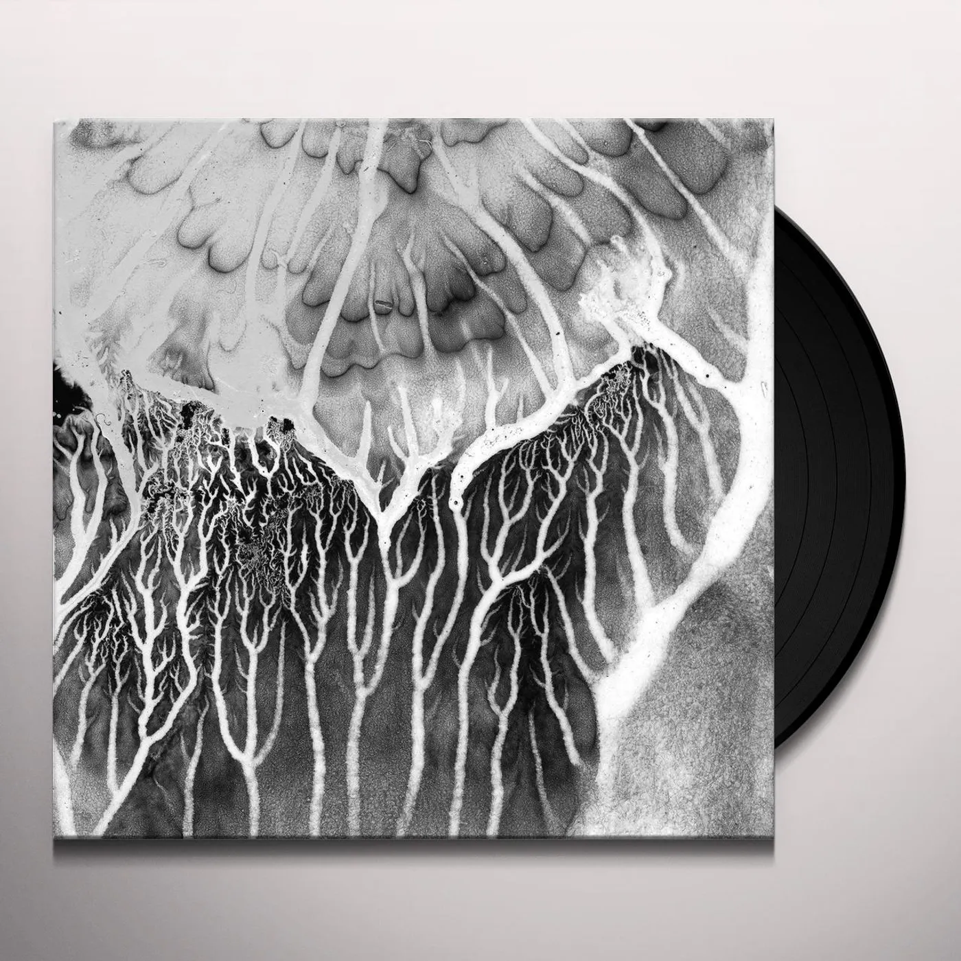 Mad Zach No Past Lives EP Vinyl Record