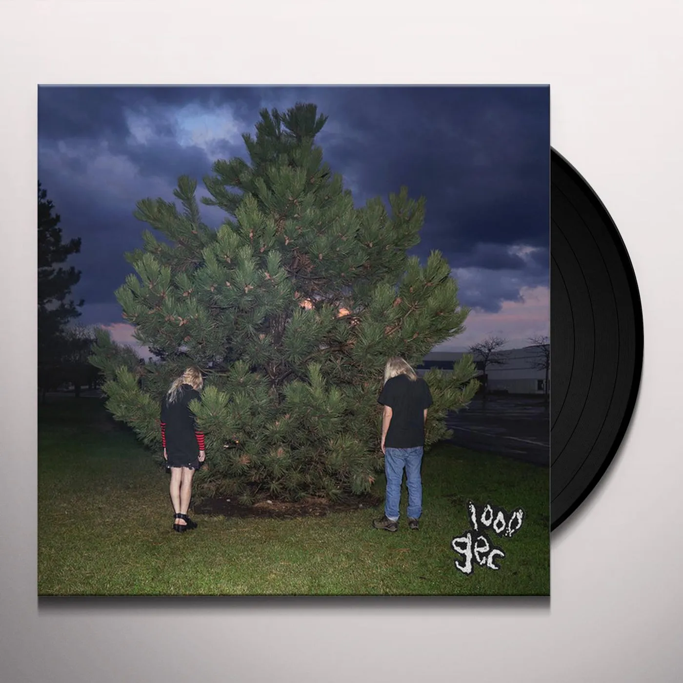 100 gecs 1000 GECS Vinyl Record