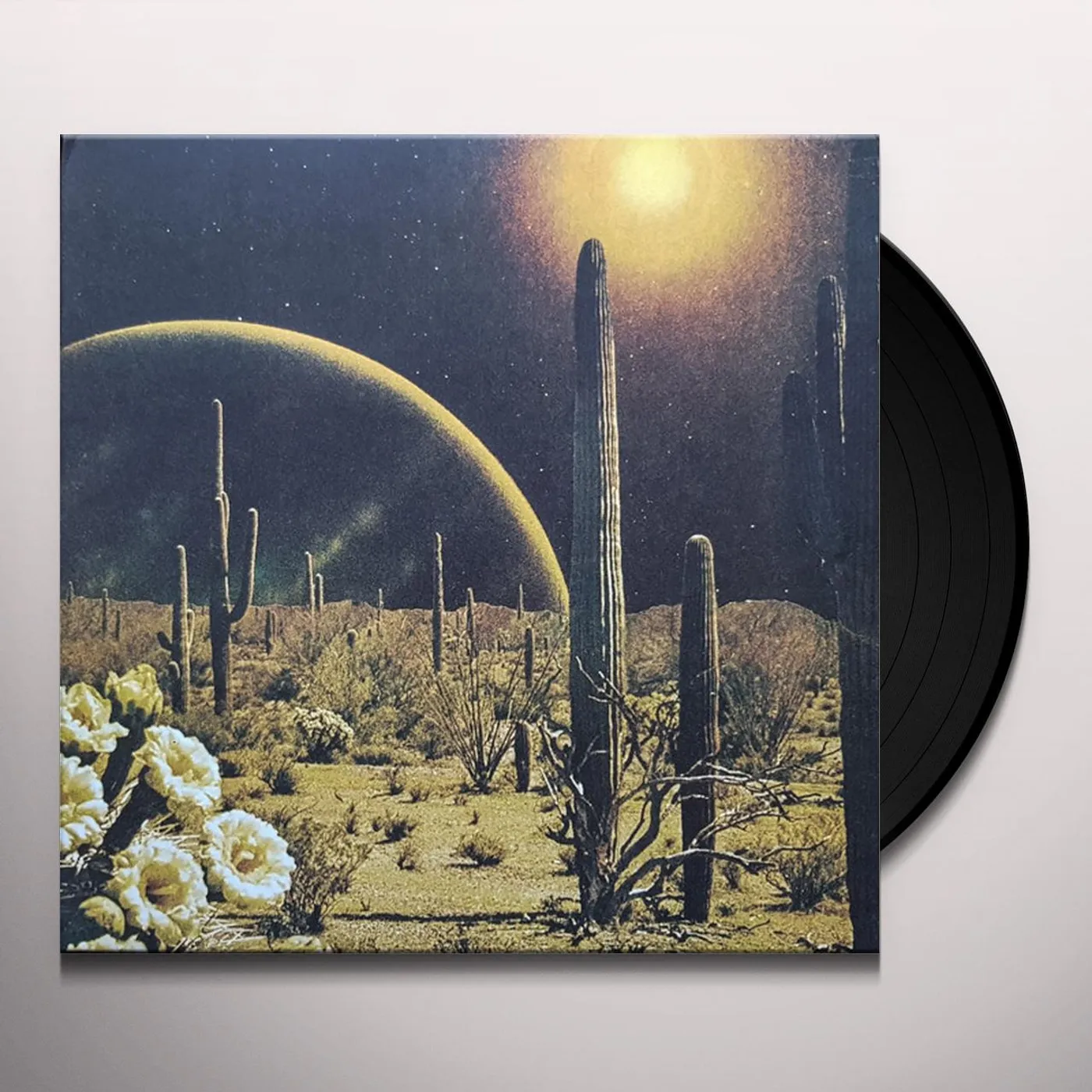 decker. Born to Wake Up Vinyl Record
