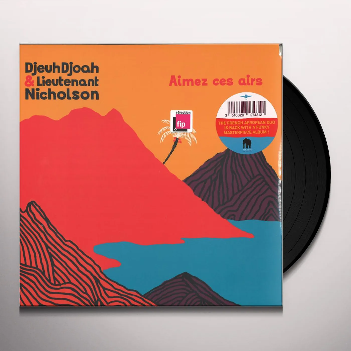 DjeuhDjoah & Lieutenant Nicholson Aimez Ces Airs Vinyl Record